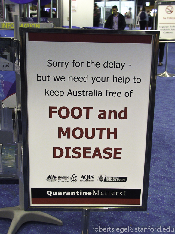 foot and mouth disease